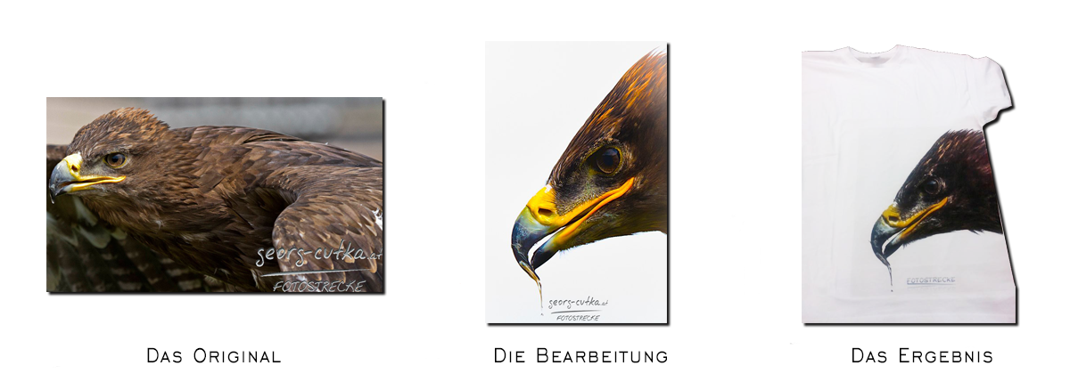 adler